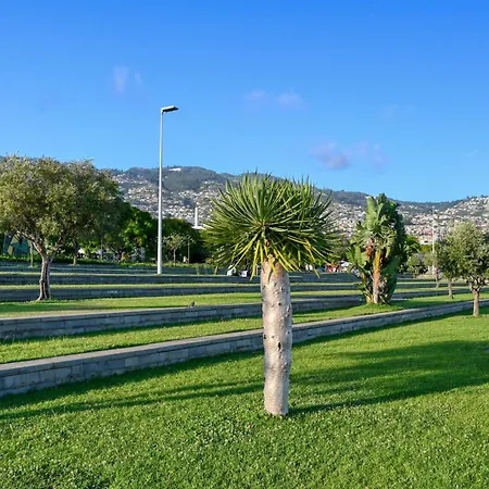 Beco Santa Emilia 1c, A In Madeira Apartamento Funchal (Madeira)
